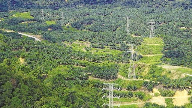 As part of the sustainability plan, Sarawak plans to diversify energy systems, scale alternative low-carbon solutions, spur sustainable end-use energy consumption, upgrade grid capabilities, and position the state as a regional green energy powerhouse. Photo credit: Courtesy of Sarawak Energy Bhd.