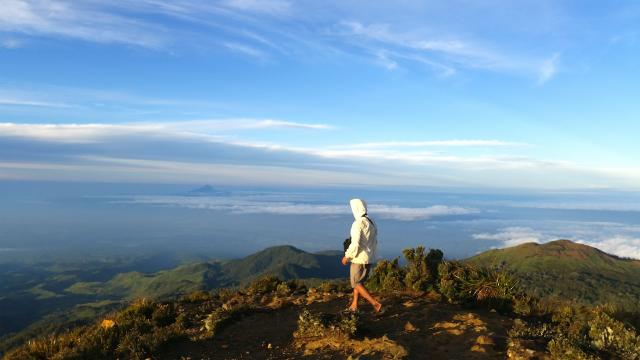Mount Apo National Park is facing habitat destruction from tourism, agriculture, and human settlements. Photo credit: EyeEm Mobile GmbH /istock