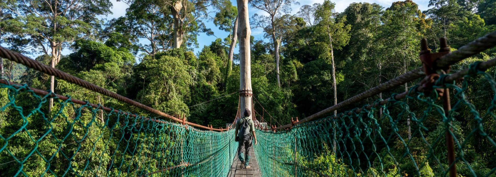 A man crosses a hanging bridge in a rainforest in Borneo. Photo credit: iStock/Cn0ra.
